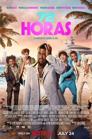 Poster de 72 horas