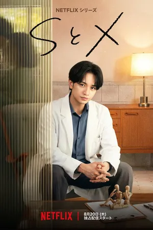 Poster de S&X